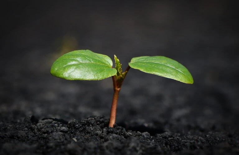 自然の力で肌荒れを救い、敏感性肌を整えるミネラルウォーターケア
